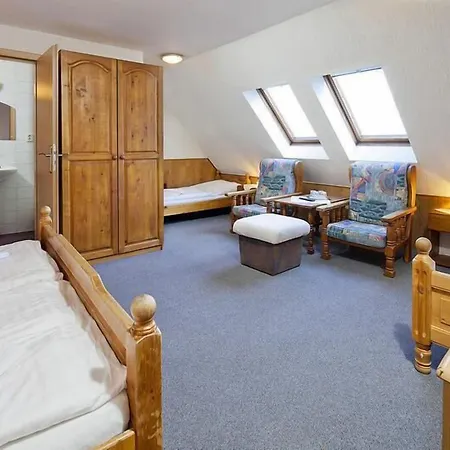 Wellness Rosnicka 3* Kralovany