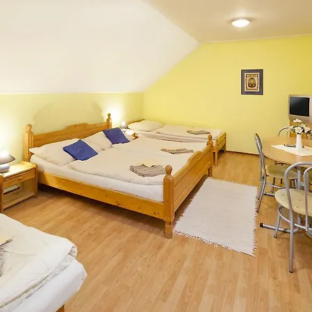 Casa de hóspedes Wellness Rosnička 3*