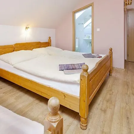Penzion Wellness Rosnicka 3*