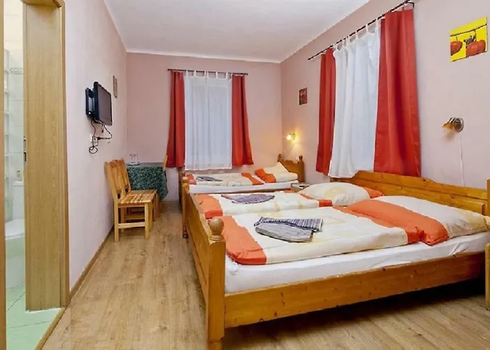 Wellness Rosnicka 3*